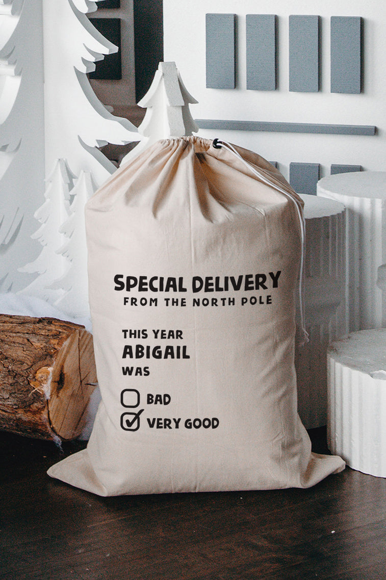 Special Delivery Personalized Santa Sack